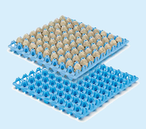 BANDEJAS-DE-CODORNA