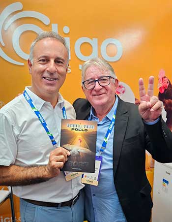 DIRETOR-GLOBAL_INTERNA