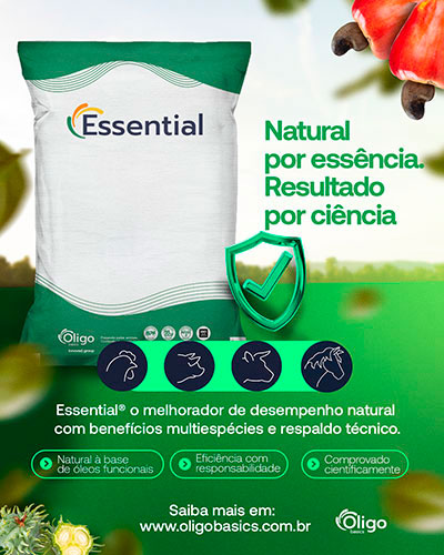 EssentialPrincipal (1)