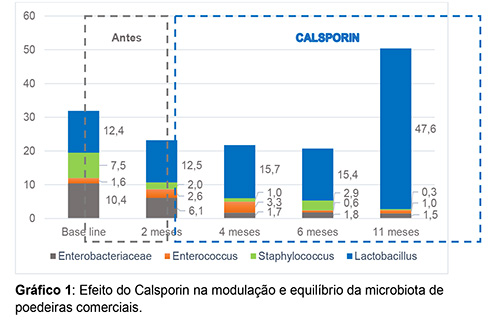 THIAGO ALMEIDA-GRAFICO-1