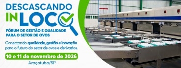 ANANEZIA 2