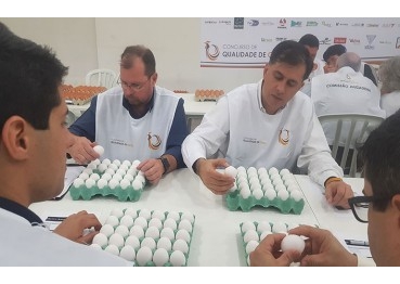 Concurso de Qualidade de Ovos de Bastos 2019