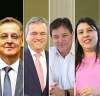 Instituto Ovos Brasil elege nova diretoria para o próximo triênio