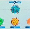 Escolhas estratégicas para a gestão sanitária e o controle da laringotraqueíte