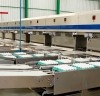 Com foco em inovação e expansão produtiva, Avine projeta faturamento de R$460 milhões em 2026