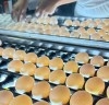 Muito além dos ovos: Bastos transformou a avicultura em um modelo de desenvolvimento regional