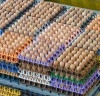 Galinhas soltas e felizes, ovos caipiras, orgânicos: MAPA acompanha diversificação do mercado