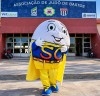 Semana do Ovo 2026 em Arapongas (PR) e Bastos (SP) movimenta escolas, auditórios e eventos ao ar livre