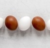 Há diferença nutricional entre ovos brancos e marrons? Dia Mundial do Ovo ajuda a esclarecer essa e outras dúvidas