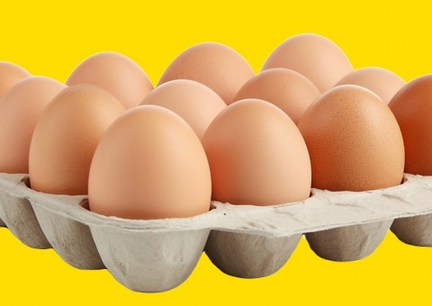 Calsporin: solução probiótica que potencializa produção e qualidade do ovo