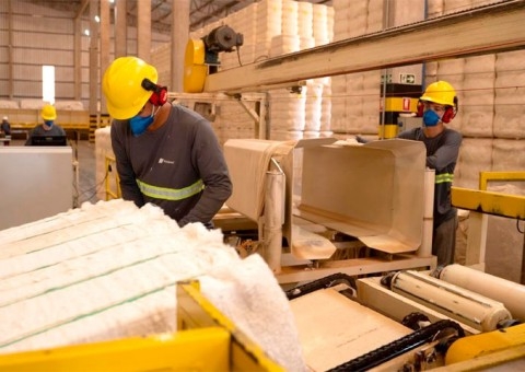 Boas práticas no plantio do algodão no Grupo Bom Jesus conectam o agronegócio brasileiro às demandas globais