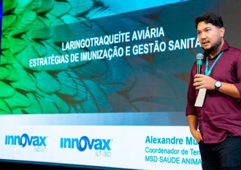 MSD apresentou estratégias modernas de imunização contra a laringotraqueíte no Congresso da APA 2026