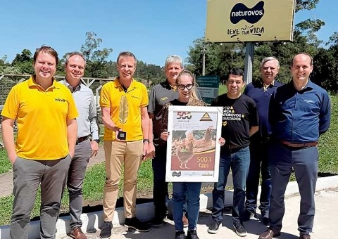 Ave Bovans Brown, da Hendrix Genetics, conquista no Brasil recorde mundial com 500 ovos em um único ciclo de 100 semanas