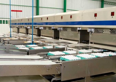 Com foco em inovação e expansão produtiva, Avine projeta faturamento de R$460 milhões em 2026
