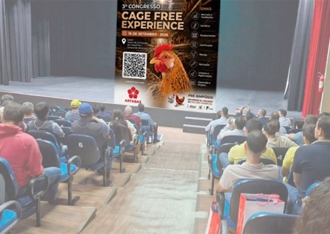 3º Congresso Cage Free Experience promove debate sobre os novos desafios do sistema livre de gaiolas no Brasil