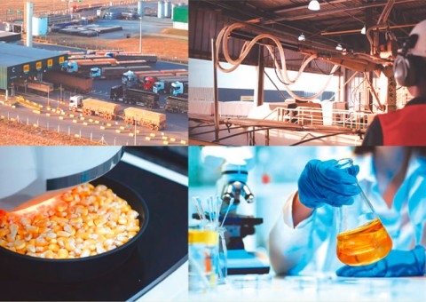 Como a FS controla cada etapa de produção do FS Essencial para entregar consistência na nutrição de aves de postura