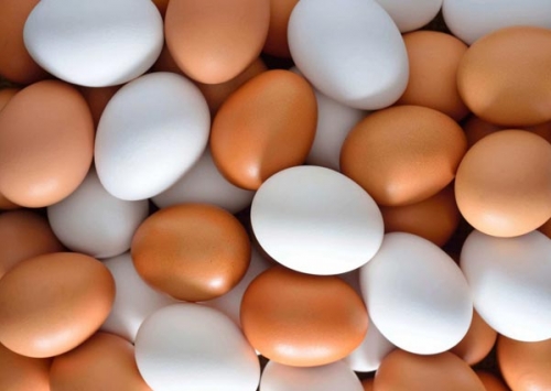 Oferta de ovos diminui e preços voltam a subir no mercado interno