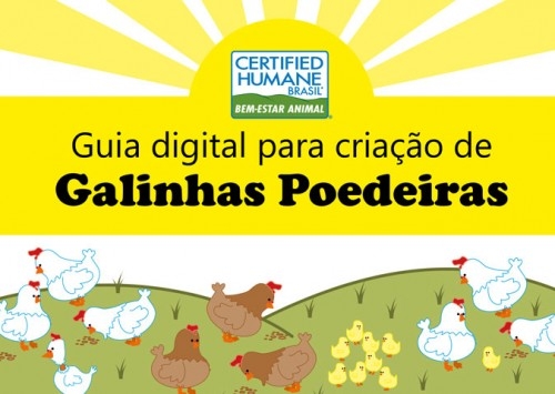 Certified Humane lança guia para o bem-estar de galinhas poedeiras