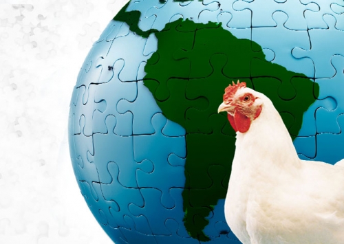 Conferência Facta debate missão da avicultura brasileira em alimentar o mundo