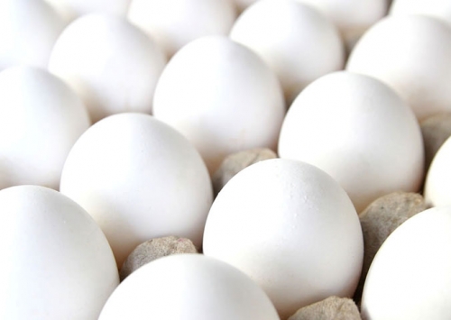 Oferta reduzida garante preços melhores para o ovo em fevereiro