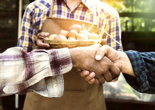 Wisium lança projeto que ajuda o avicultor a aumentar sua rentabilidade