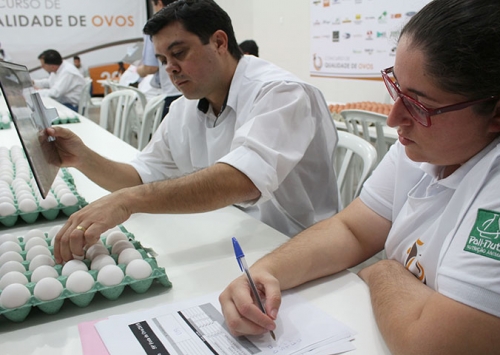 Concurso de Qualidade de Ovos de Bastos divulga regulamento de 2019