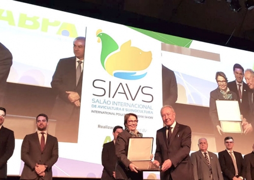 SIAVS 2019 abre com discurso de celebração da produção brasileira