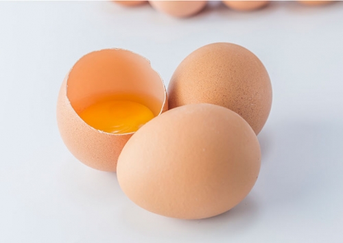 Crescem exportações de ovos em outubro, indicam análises do Cepea