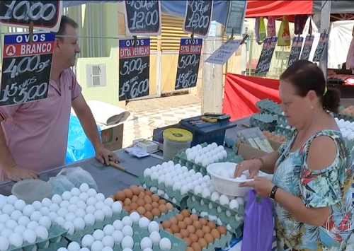 Consumo de ovos deve chegar a 230 per capita, divulga o Jornal Nacional