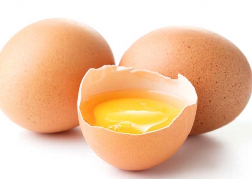 Uniquímica reforça seu know-how em ovos com Ômega 3 com o DHA Prime