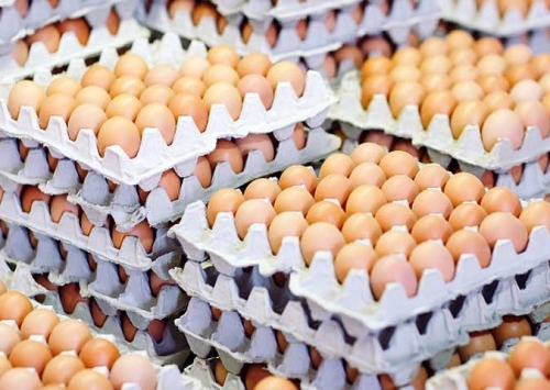 Pandemia também afetou oferta de ovos nos supermercados americanos