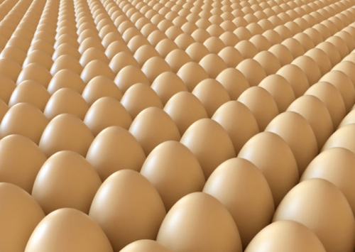 Produção de ovos bate recorde no primeiro trimestre, indica IBGE