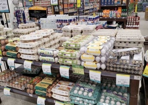 Produção de ovos cresce 3% em 2020 influenciada pelo consumo