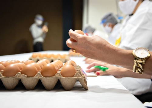 Concurso de Qualidade de Ovos Capixaba será neste dia 8 de outubro, Dia Mundial do Ovo