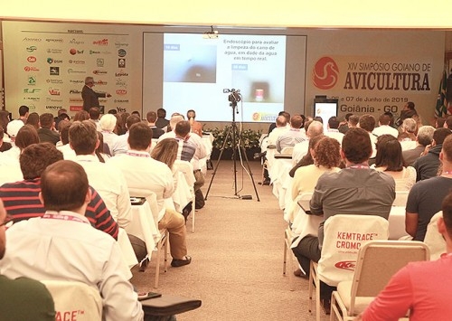 Simpósio Goiano de Avicultura reúne o setor a partir de hoje, dia 9, em Goiânia