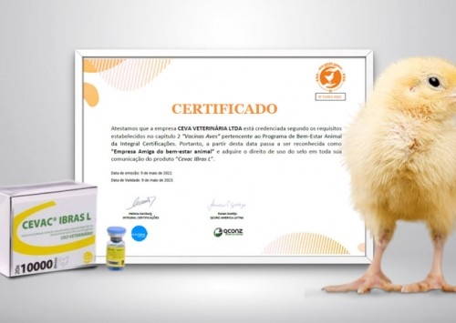 Selo de bem-estar animal confirma eficiência da Cevac IBras L da Ceva