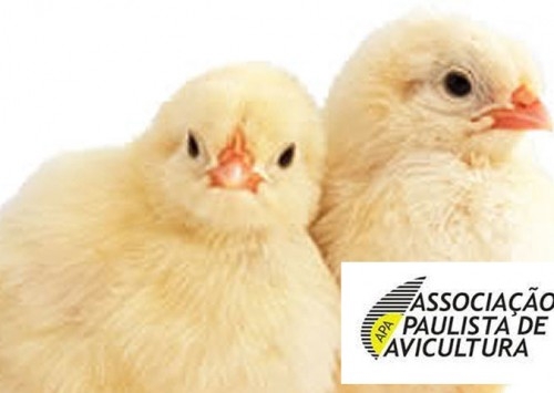 APA anuncia seleção de médicos veterinários para atuar no PESA