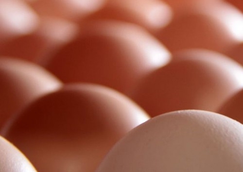 Crescem exportações de ovos, gerando receita de 26,6% em outubro