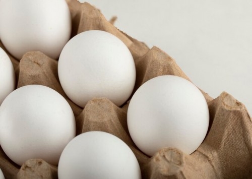 Exportações de ovos crescem 217,8% em setembro, informa ABPA