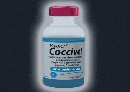 Vaxxinova destaca Vaxxon Coccivet para frangos de corte no SBSA 2024