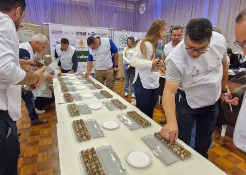 Concurso Estadual de Qualidade de Ovos, em Bastos (SP) já está acontecendo