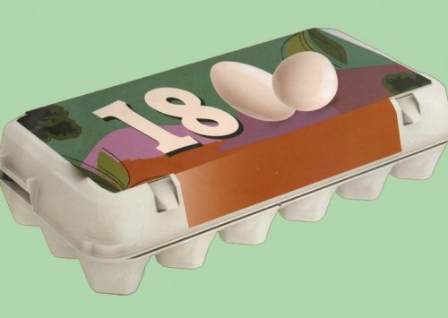 Atendendo às novas demandas do mercado, Sanovo Greenpack lança novo estojo para 18 ovos