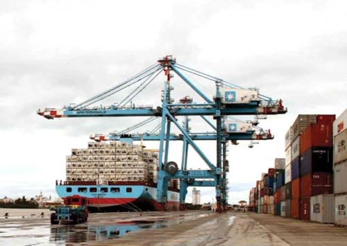 Brasil celebra 50 anos do primeiro embarque de carne de frango