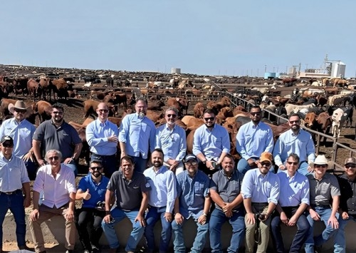 Trouw Nutrition fortalece especialização técnica para atender crescimento de gado confinado no Brasil