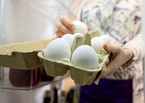 Gerente de qualidade da Mantiqueira Brasil destaca os cuidados para o consumidor escolher e manter os ovos frescos e seguros