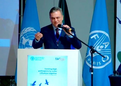 Ricardo Santin defende, na Conferência da FAO, regionalização e revisão de protocolos internacionais sobre influenza