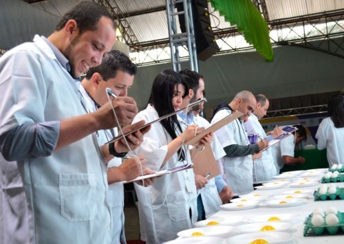 AVES promove Encontro da Avicultura Capixaba e Concurso de Qualidade de Ovos 2025
