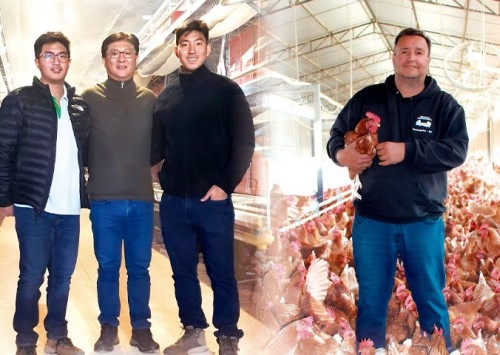 Granja Morishita e Ovos Jovanil investem em aviários cage free da Artabas
