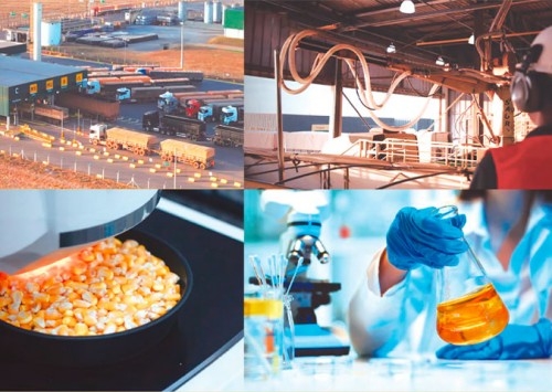 Como a FS controla cada etapa de produção do FS Essencial para entregar consistência na nutrição de aves de postura