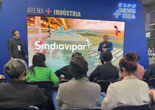 Paraná precisa focar em biosseguridade para blindar liderança na avicultura, alerta presidente do Sindiavipar
